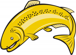 Illustration for article titled The Reason Why Farmed Perch is Much Healthier than Several Folks Think
